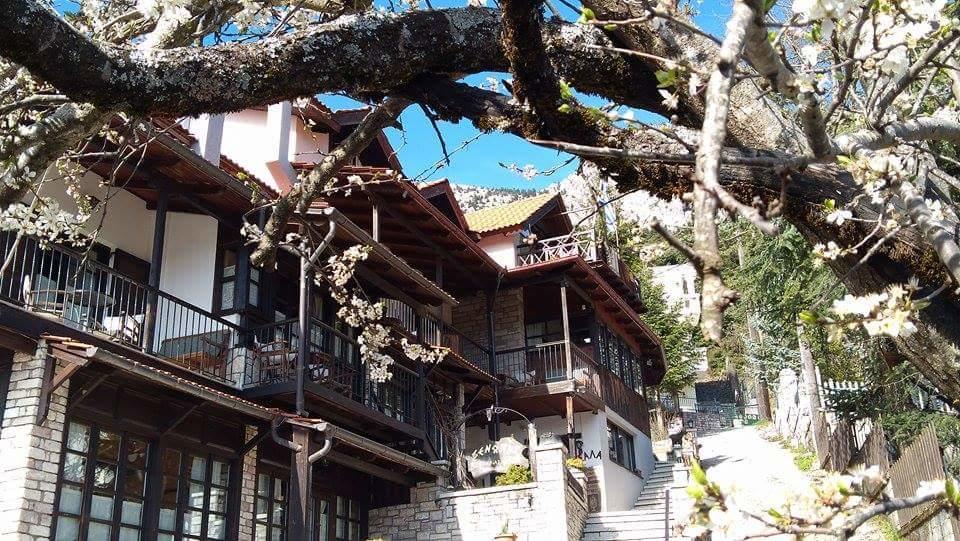 Xenonas Brizi Otel Eláti Dış mekan fotoğraf