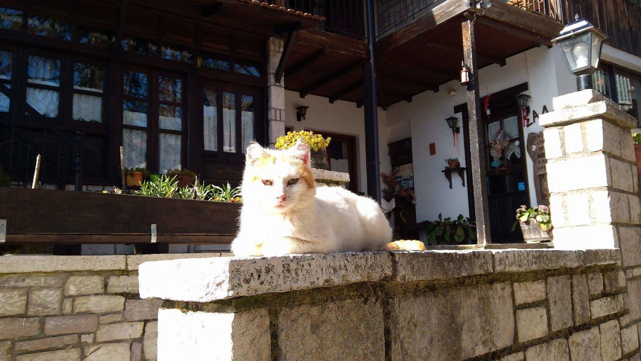 Xenonas Brizi Otel Eláti Dış mekan fotoğraf